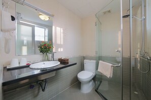 Hair dryer, towels, shampoo, toilet paper