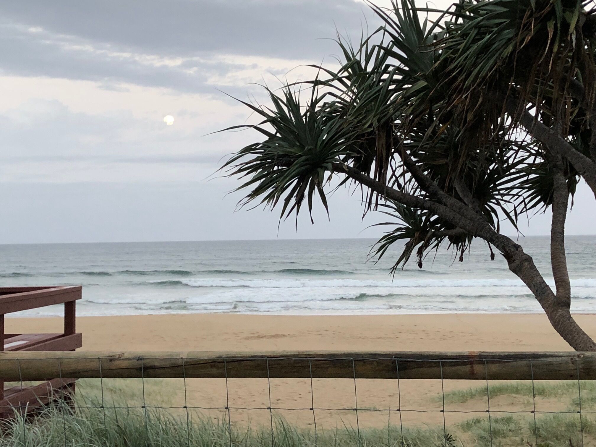 Miami Beachfront Bliss — image 6