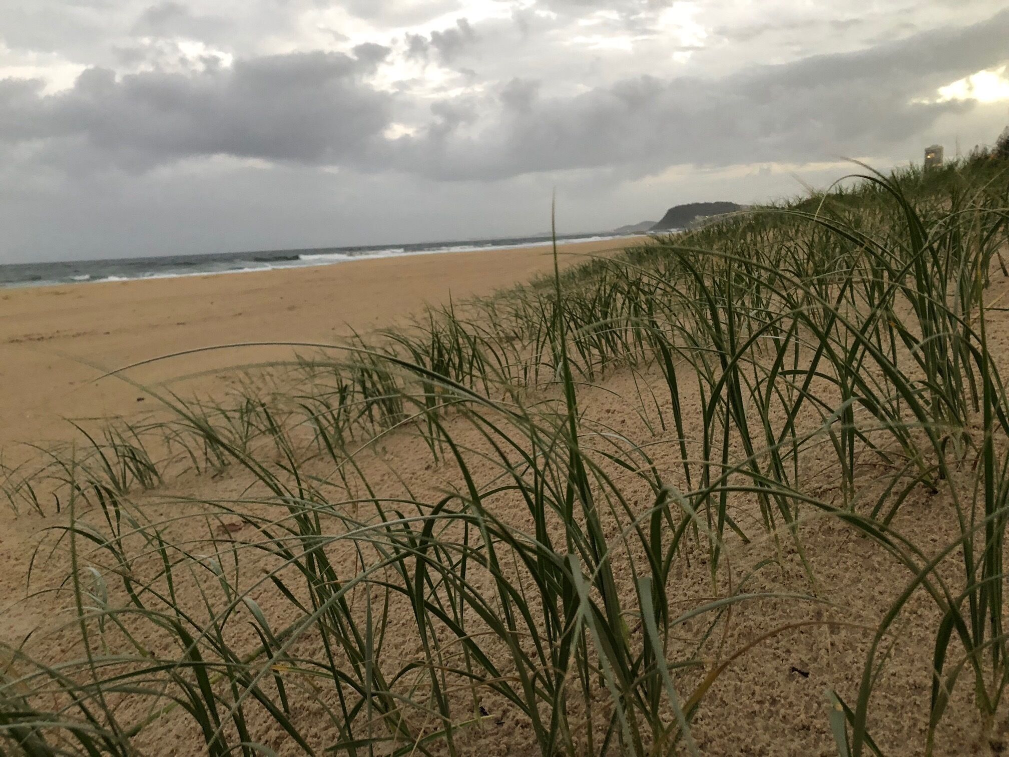 Miami Beachfront Bliss — image 21