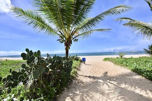 Na praia, espreguiçadeiras, toalhas de praia