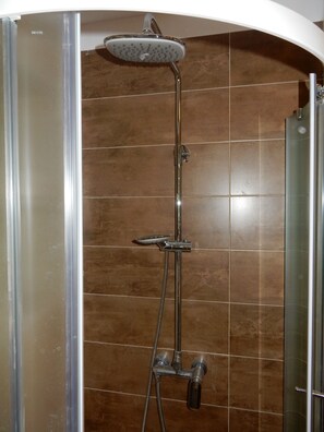 Shower, hair dryer, towels