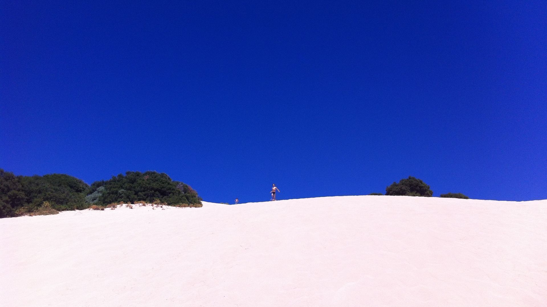 Orchid House - treetop views close to beach — image 19