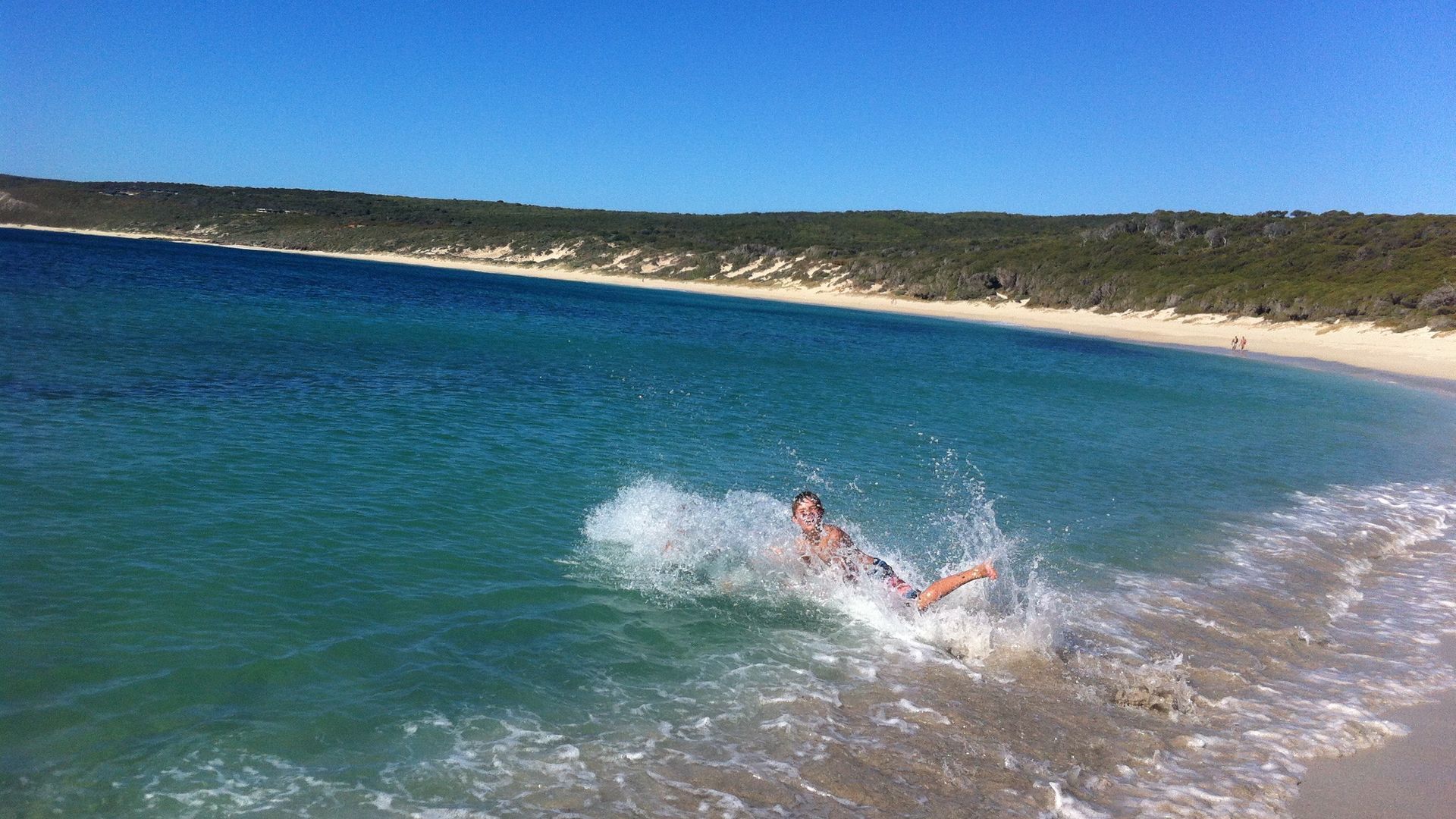 Orchid House - treetop views close to beach — image 21