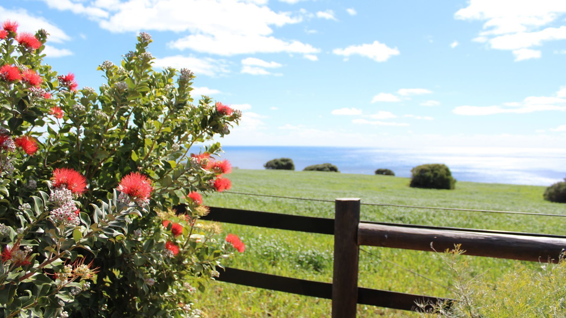 Orchid House - treetop views close to beach — image 20