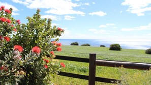 Property grounds - Orchid House - treetop views close to beach (Yallingup)