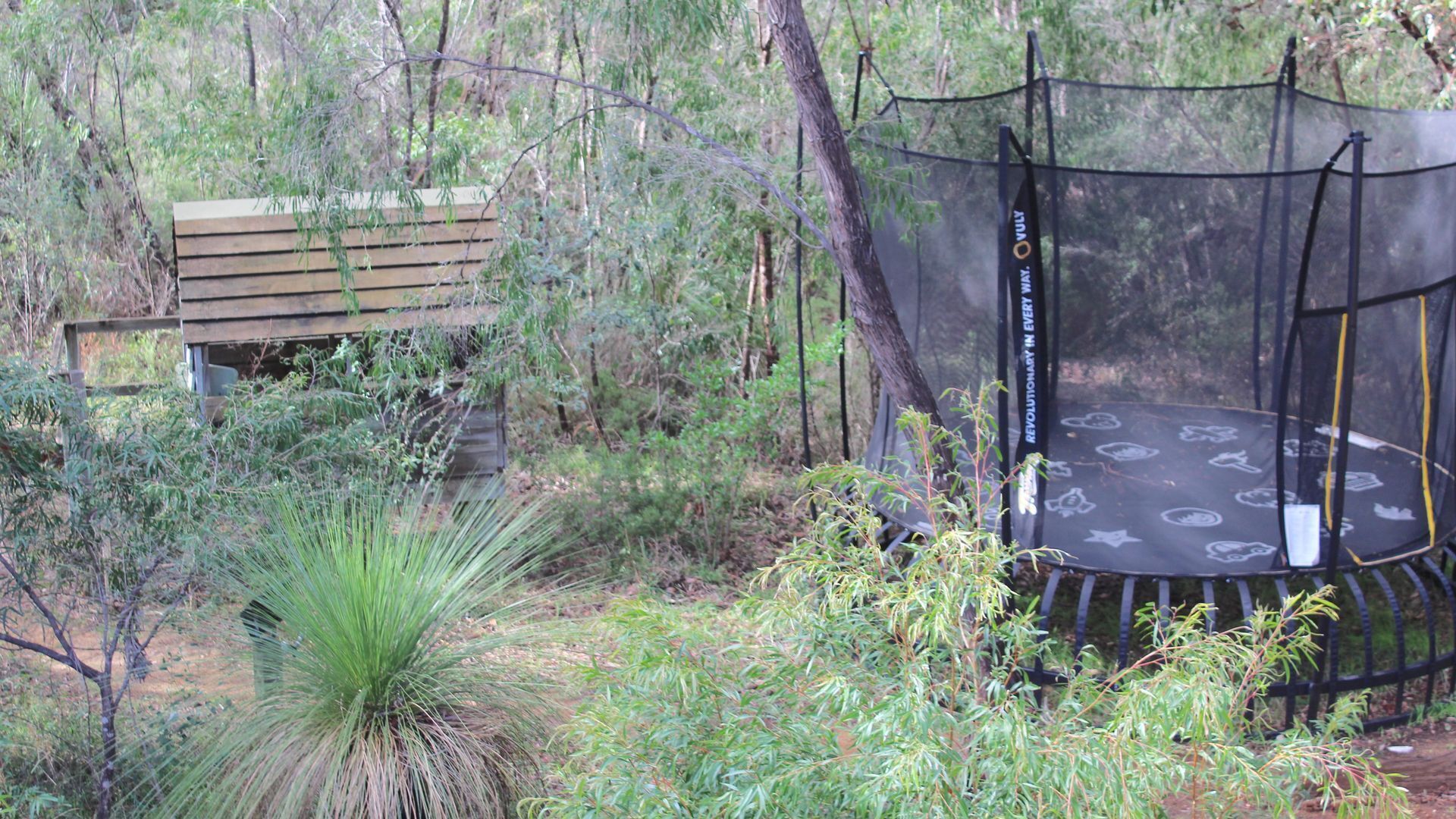 Orchid House - treetop views close to beach — image 17