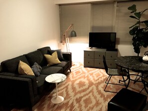 Fernseher, DVD-Player