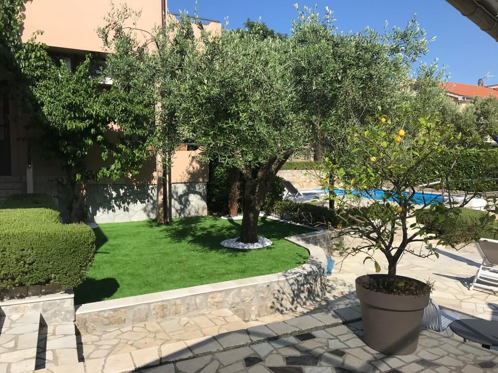 A courtyard with a swimming pool, green lawn, and potted plants.