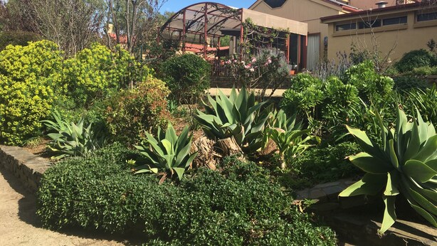 A residential building with a covered patio area, surrounded by various green plants and trees. - Ideal location to explore historic Strathalbyn, Wineries, good food and scenery (Strathalbyn)