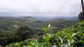 Nicht klassifiziertes Bild, 5 von 24, Schaltfläche