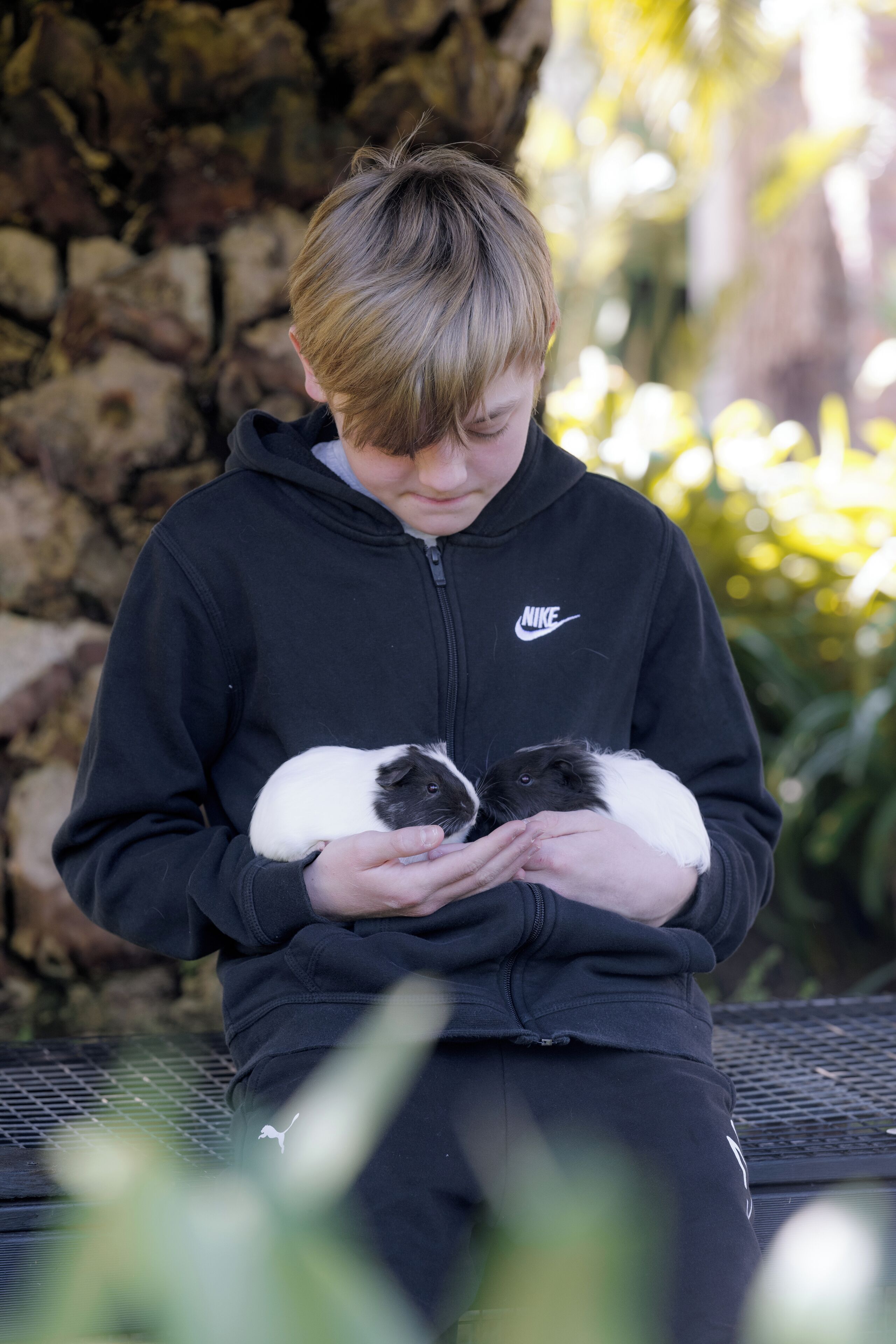 A person holding two guinea pigs.