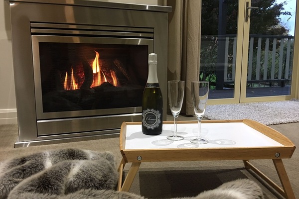 Gas log fire
