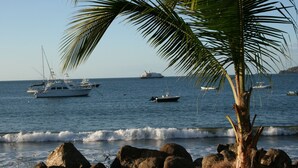 A coastal scene with a large yacht, smaller boats, and a palm tree. - Villas Casa Loma - Suite 203 : Tropical Villa with Pool and Spectacular Views (Playa Flamingo)