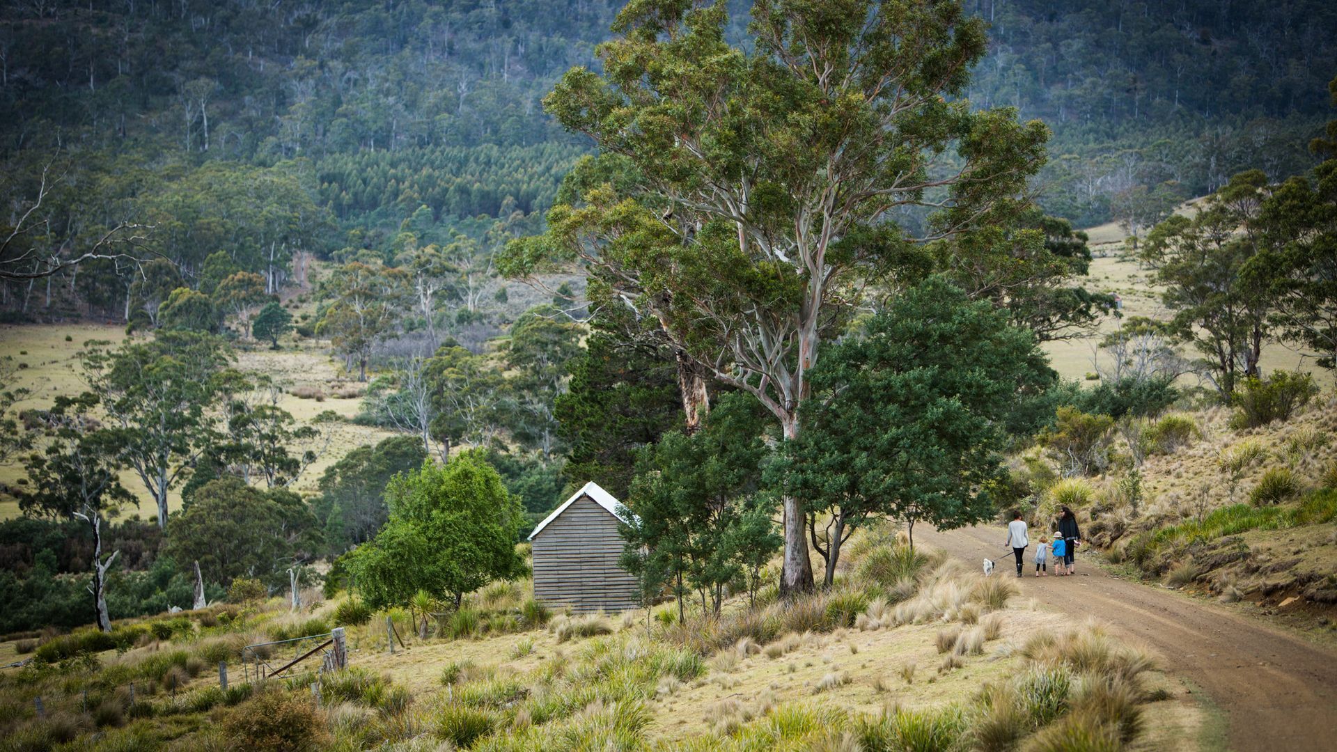 Farm Pod at Twamley Farm — image 18