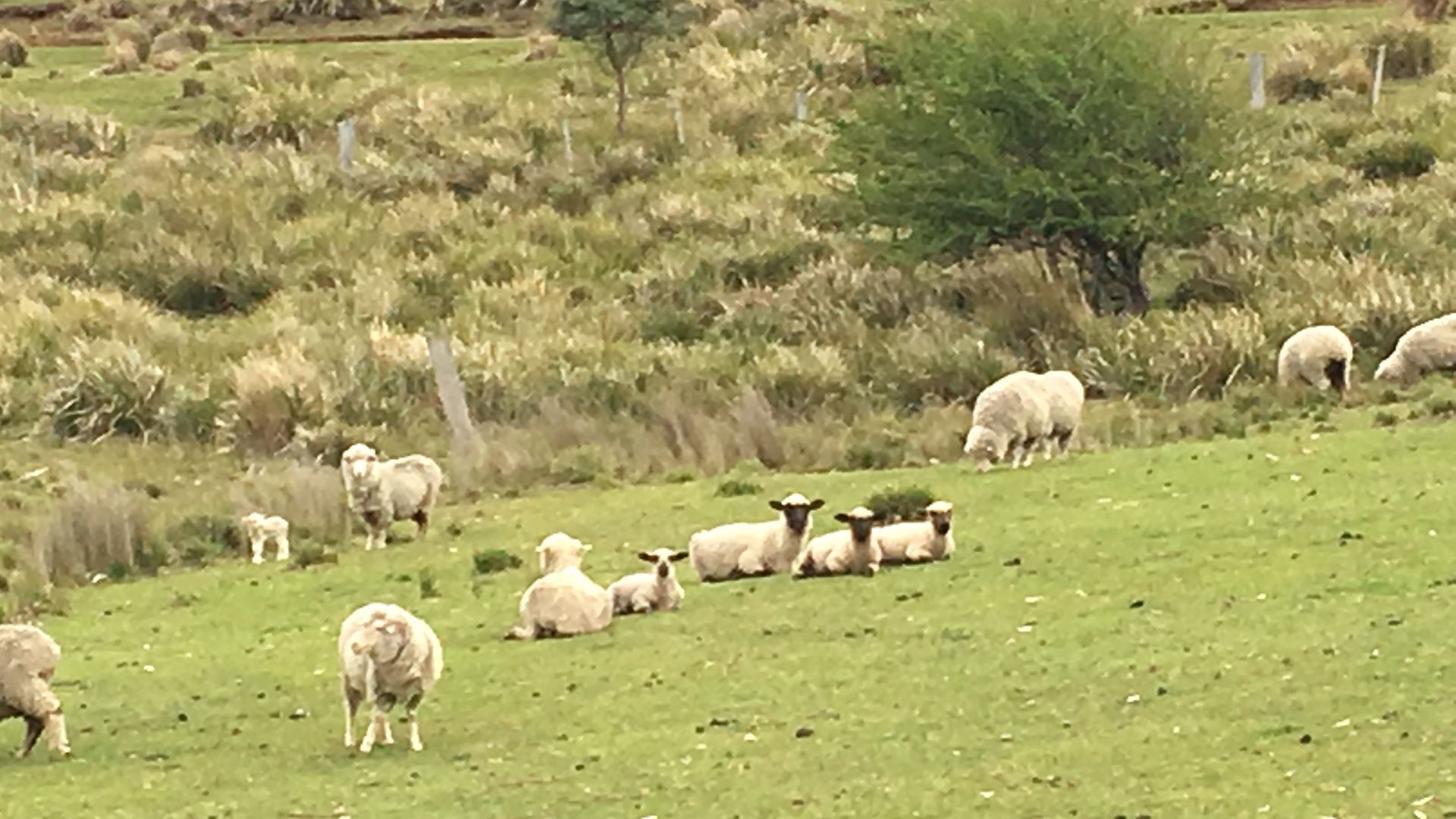 Farm Pod at Twamley Farm — image 21