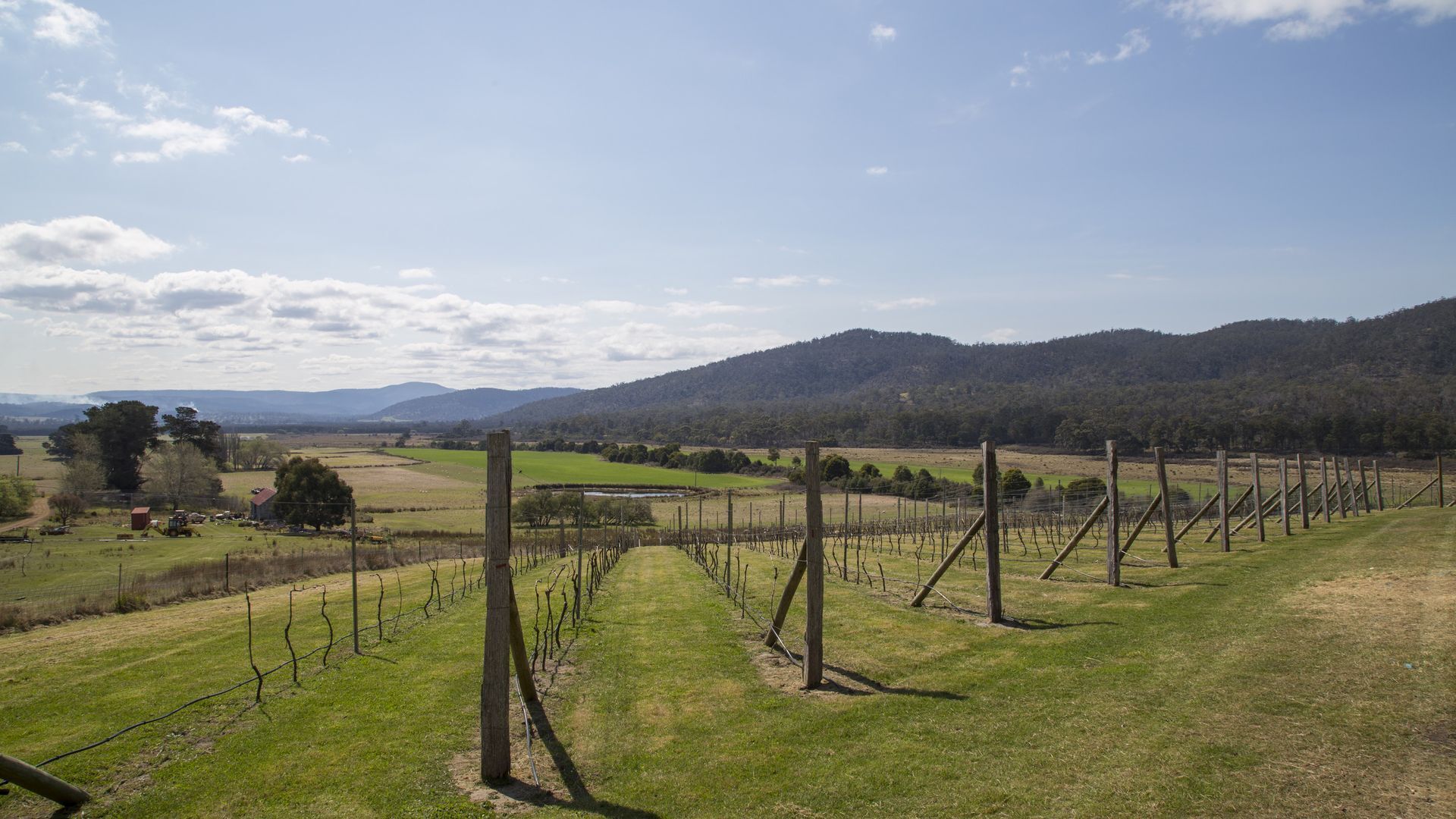 Farm Pod at Twamley Farm — image 17