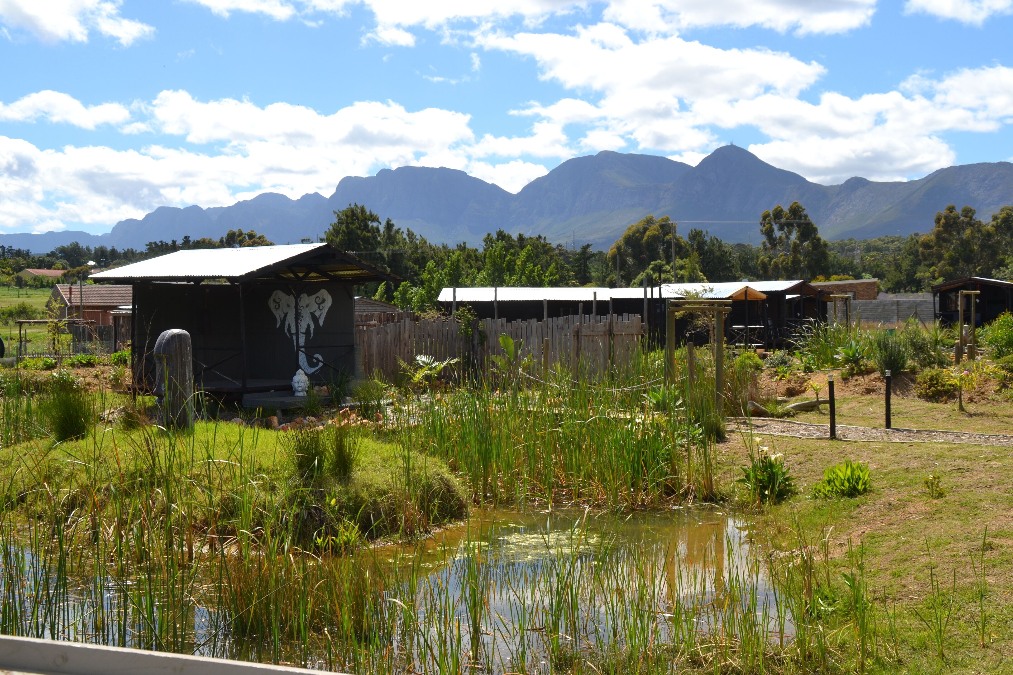 Tiripanu backpackers the bakcpackers home away from home