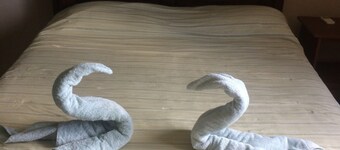 Renta de Habitacion o casa completa en David Chiriqui