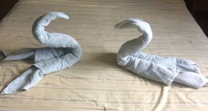 Renta de Habitacion o casa completa en David Chiriqui