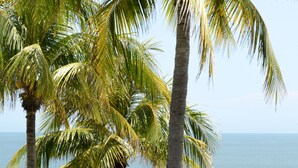 A beach with palm trees and the ocean. - AMAZING BEACH HOUSE ON A CLIFF, Spectacular OCEAN VIEWS & private beach access  (El Sunzal)