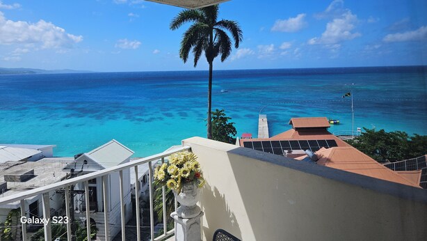 A balcony with a view of the ocean and a palm tree. - Vacation and Relaxation  (Montego Bay)