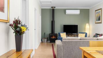 Smart TV, fireplace, DVD player, books