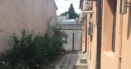 CHAMBRE DOUBLE DELUXE AVEC SALLE DE BAIN PRIVĂE - CHAMBRE NR 6
