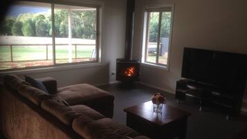 Télévision, cheminée, lecteur de DVD, livres