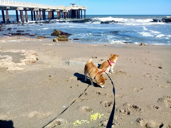 Strand