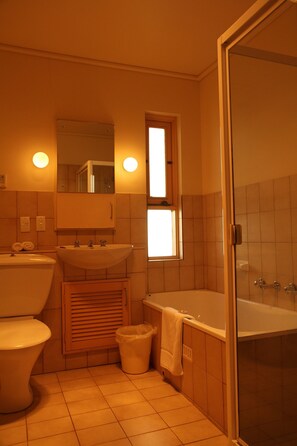 Combined shower/bathtub, hair dryer, towels