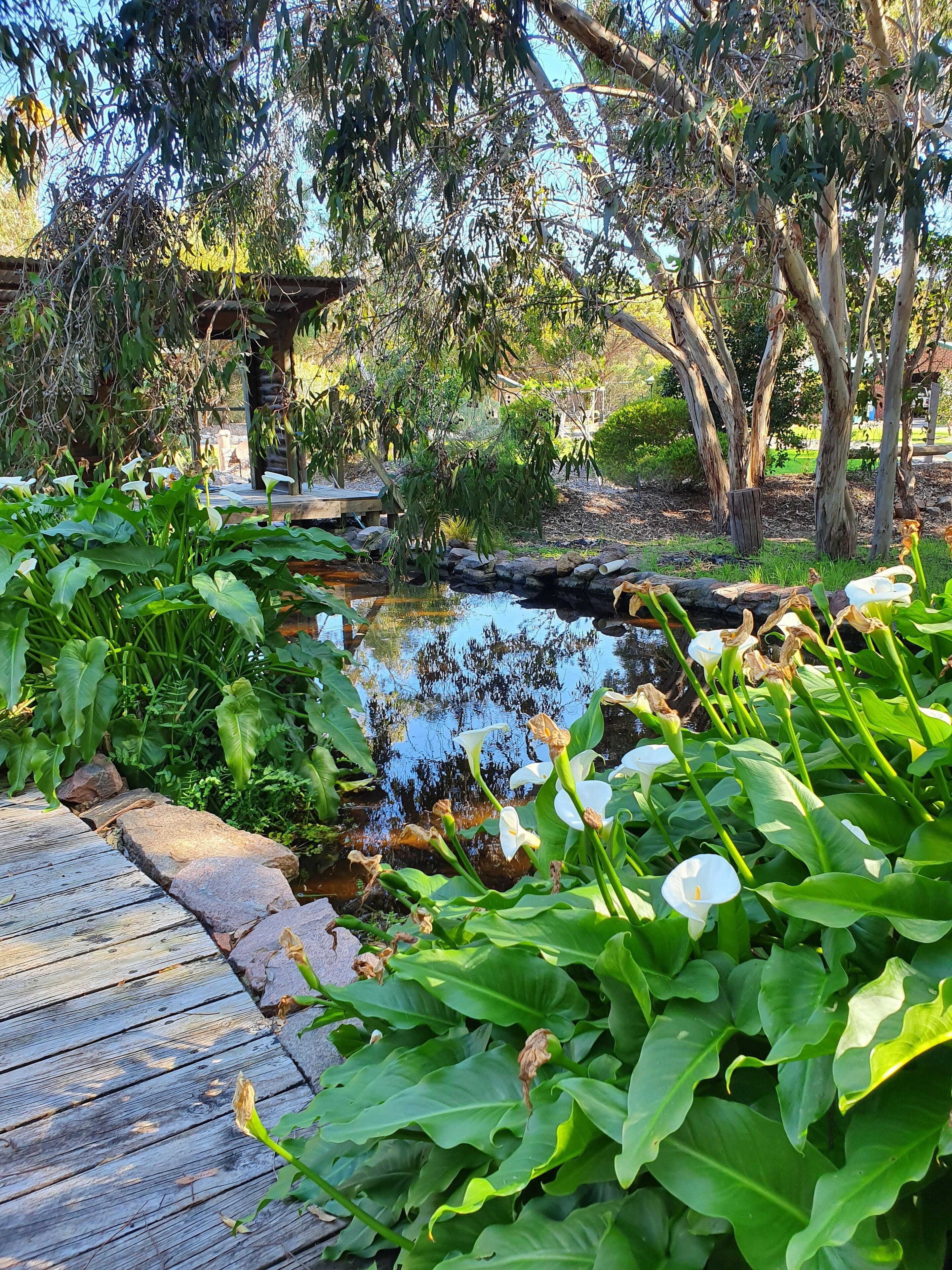 Front lake 