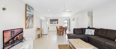 电视、DVD 播放器、书、影片库