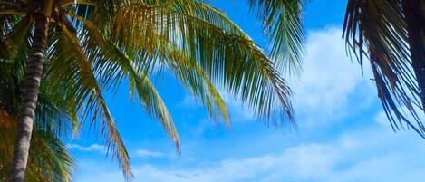 Playa en los alrededores