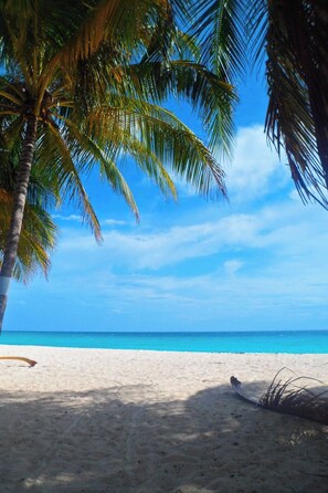 A beach with clear blue water, palm trees, and a sandy shore.