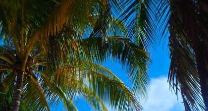 Annsville - Ferienwohnung in der Nähe von Dover Beach und St. Lawrence Gap