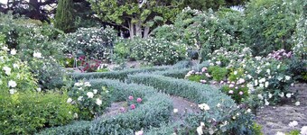 Luxury 1830s Kippilaw Schoolhouse Farmhouse