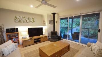 Televisión, chimenea, libros