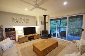 TV, fireplace, books