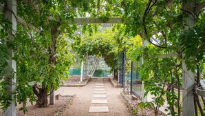 A pathway leading through a garden with a pergola structure, surrounded by greenery and a metal fence. - Perfect Location for Leisure or Business - Right in the main street (Scone)