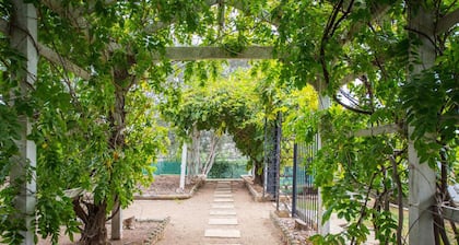 Emplacement idéal pour les loisirs ou les affaires - directement dans la rue principale