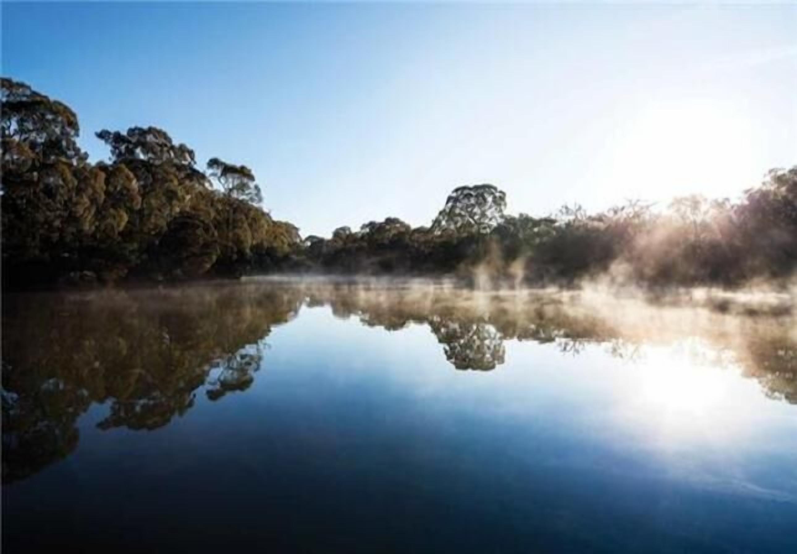 Lithgow Villa Unit Blackburn — image 8