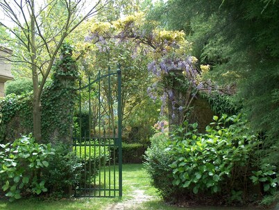 CASA D'AZURARA - XVIII MANOR HOUSE