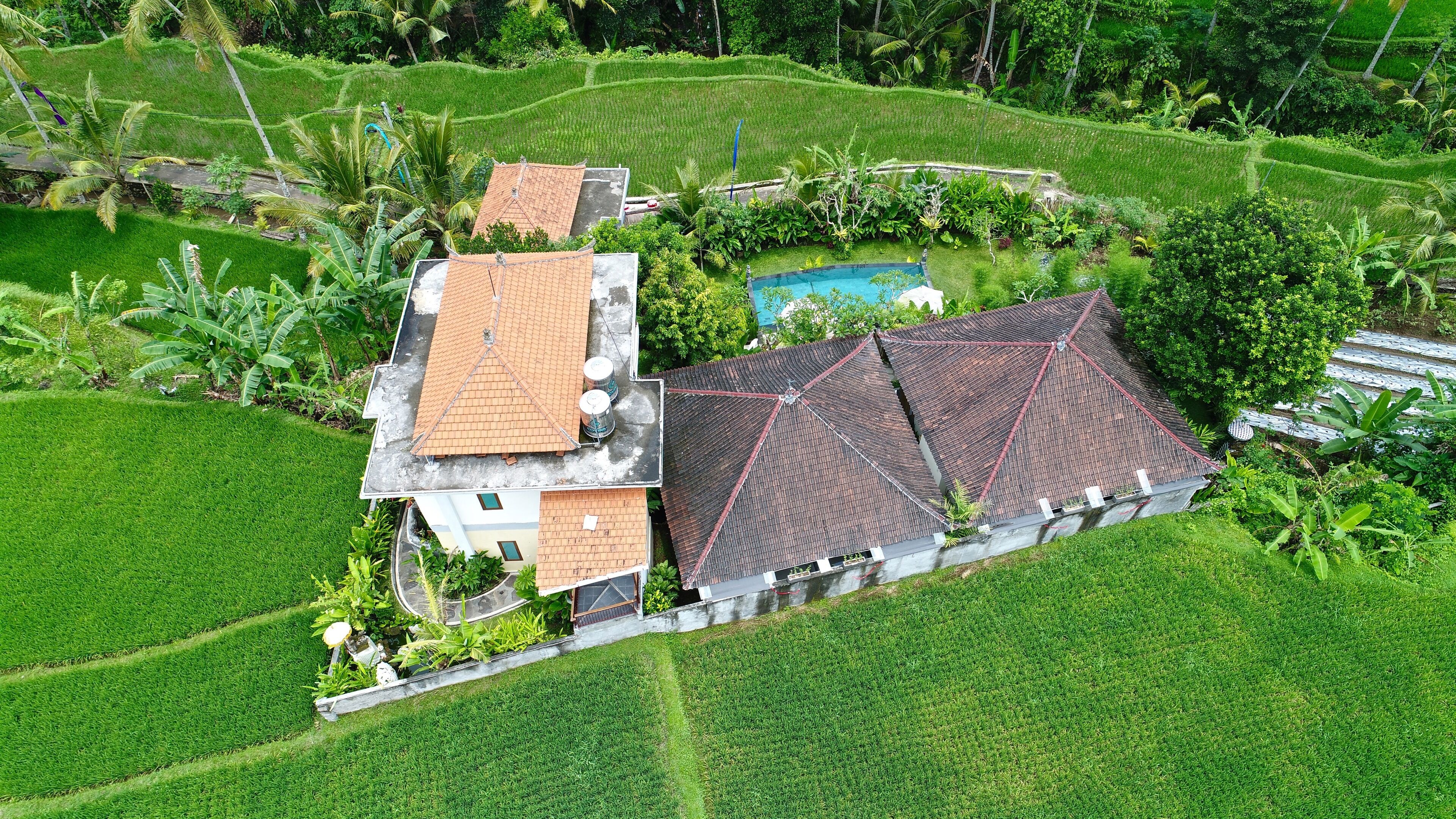 Tini Villa Ubud -  Standard Room