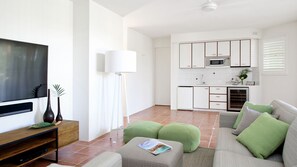 TV, fireplace, DVD player, stereo