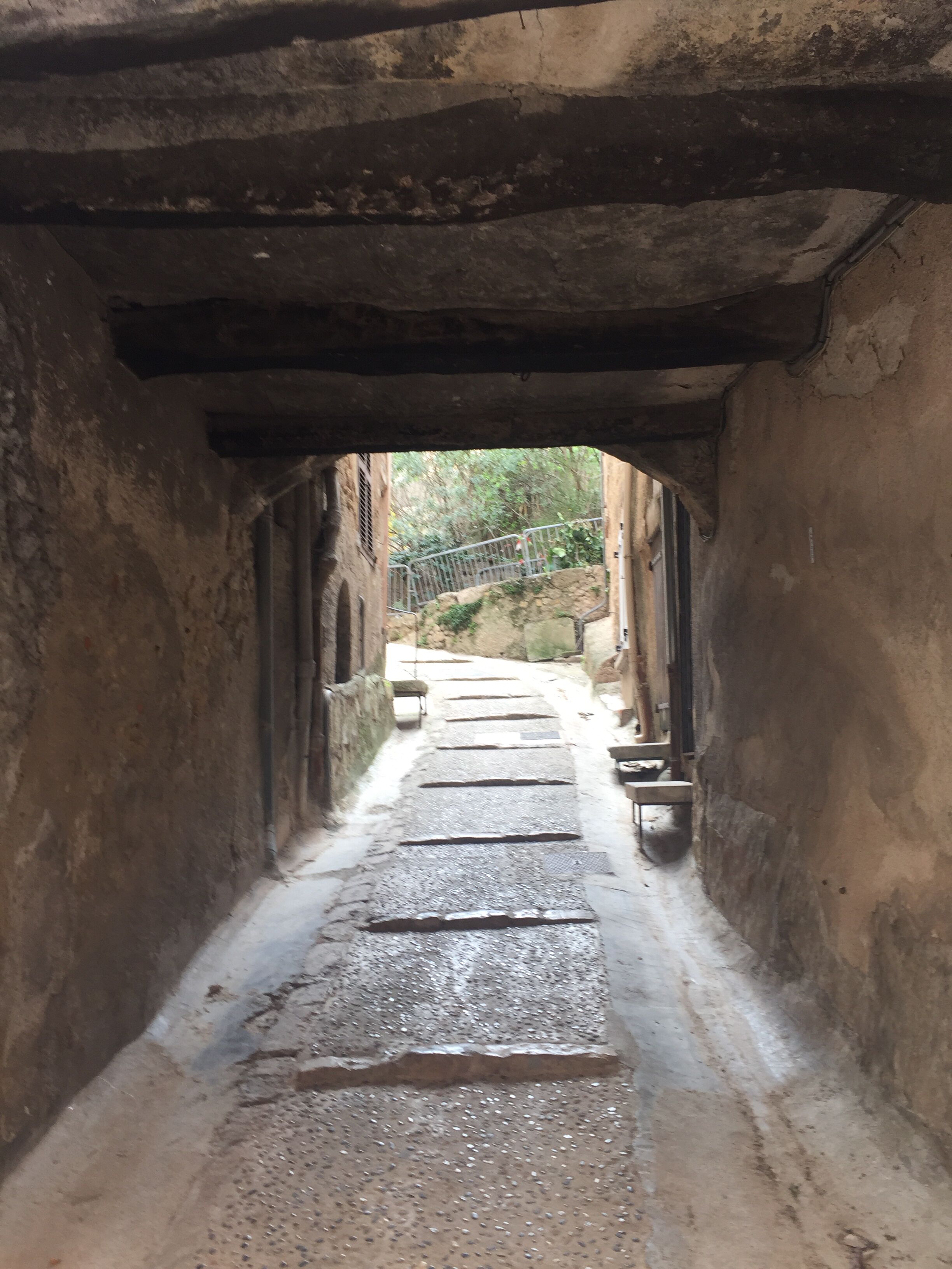 A narrow stone pathway leading to a covered area with a metal railing.