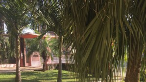 A paved pathway in a park with grass and palm trees. - Vacation home 4 Palmeiras  (Figueira)