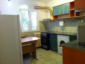 Fridge, microwave, oven, coffee/tea maker - Eurobuc South apartment (Sector 4)