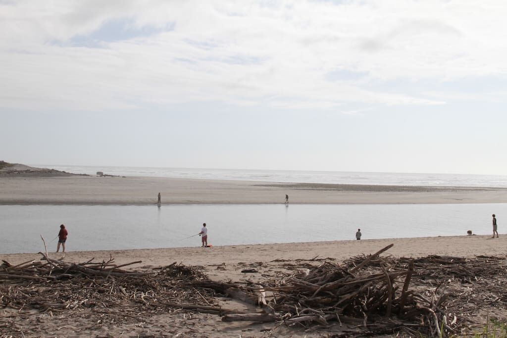 Une plage où l’on voit des gens pêcher, avec un tas de bois flotté au premier plan.