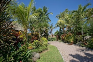 Stroll through the beautifully maintained garden, lined with palm trees and lush vegetation, to the entrance of this serene oasis.