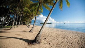 Una playa con palmeras y un cielo despejado.